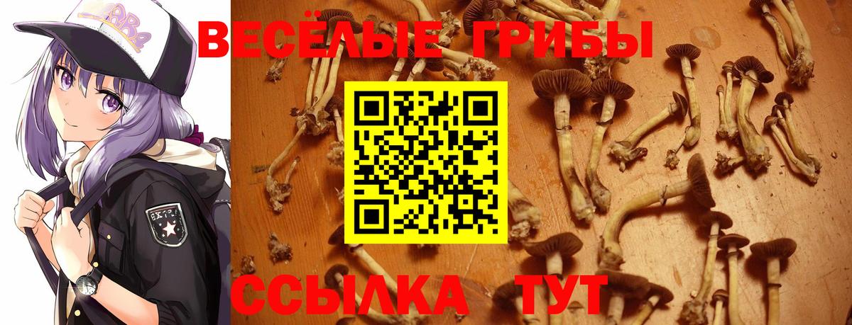 Псилоцибиновые грибы Psilocybe  Вход с VPN  Галлюциногенные грибы прущие грибы  Каменск-Шахтинский 